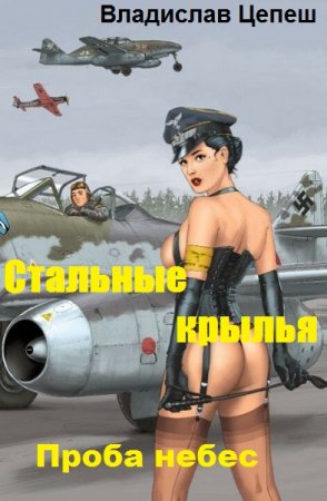 Постер к Стальные крылья. Проба небес - Владислав Цепеш