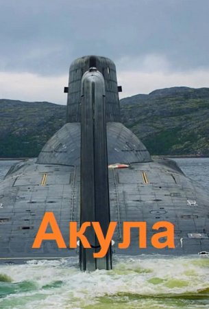 Постер к Акула - Георгий Лопатин