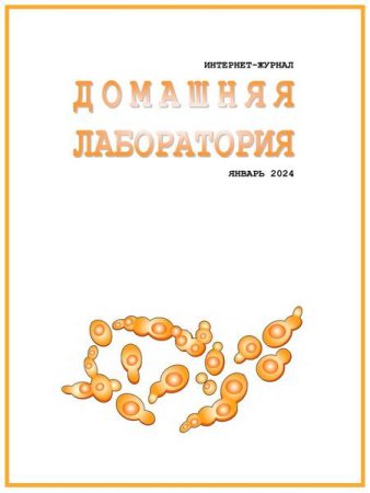 Постер к Домашняя лаборатория №1 (январь 2024)